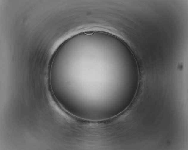 X0000113291518200909211051