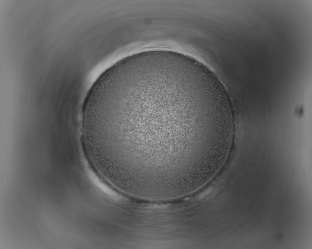 X0000113291519200909211051