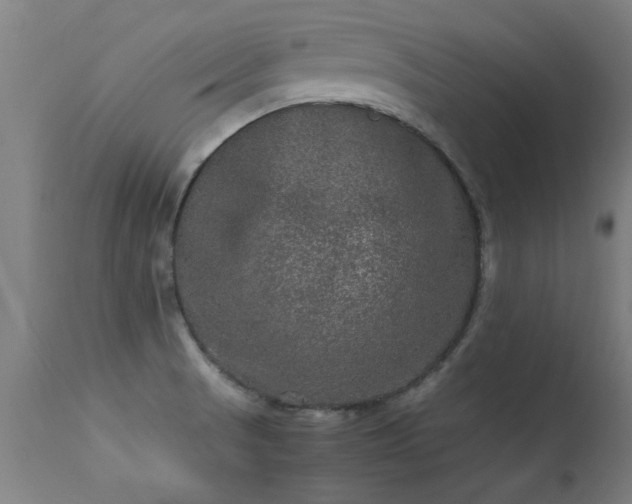 X0000113291521200909211051