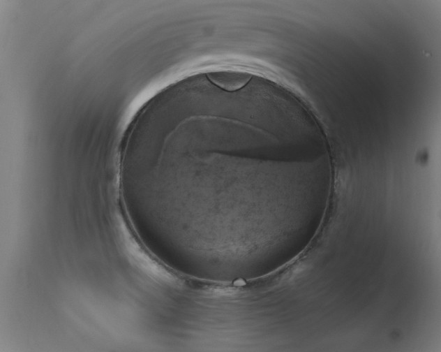 X0000113291522200909211051