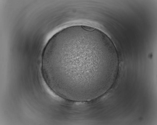 X0000113291523200909211051