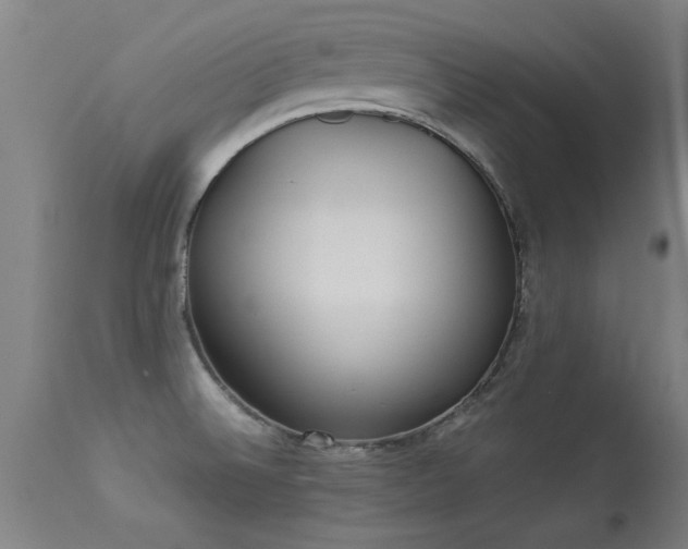 X0000113291524200909211051