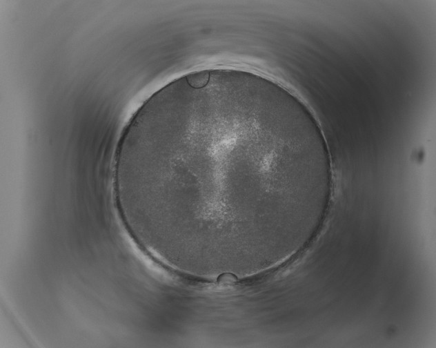 X0000113291525200909211051