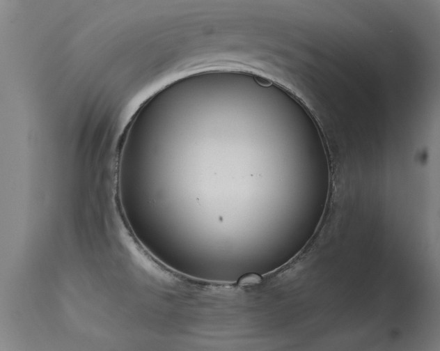 X0000113291526200909211051