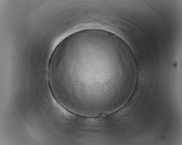 X0000113291527200909211051