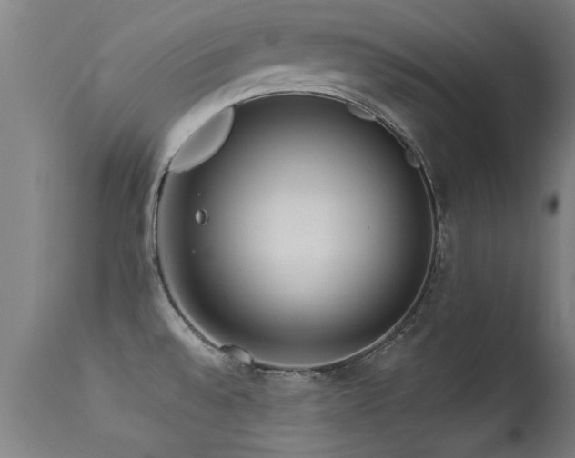 X0000113291528200909211051