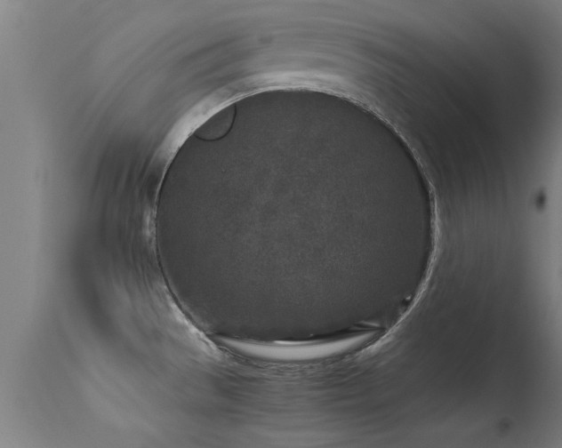 X0000113291529200909211051