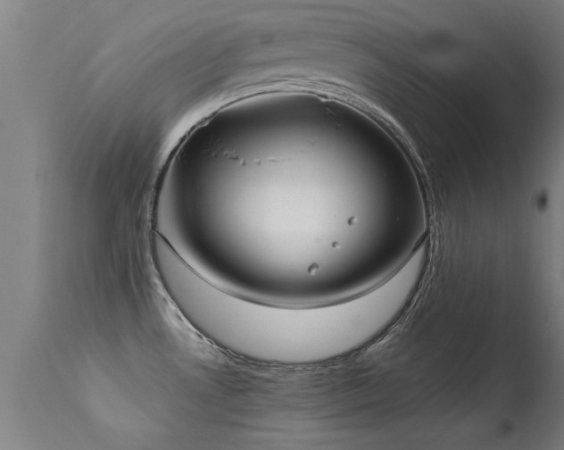 X0000113291530200909211051