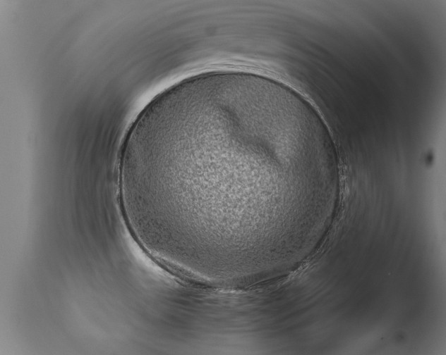 X0000113291531200909211051