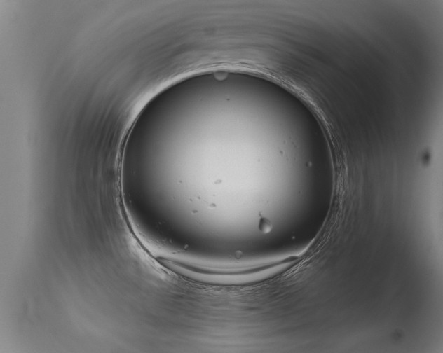 X0000113291532200909211051