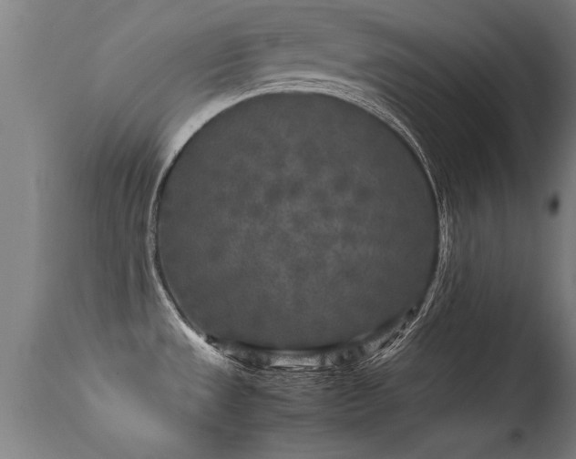 X0000113291533200909211051