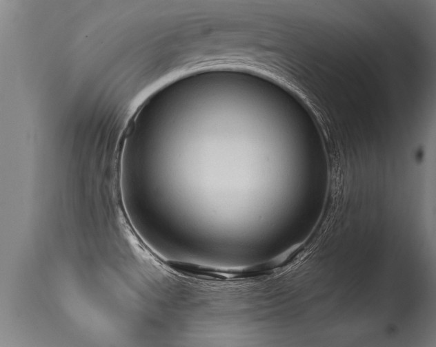 X0000113291534200909211051