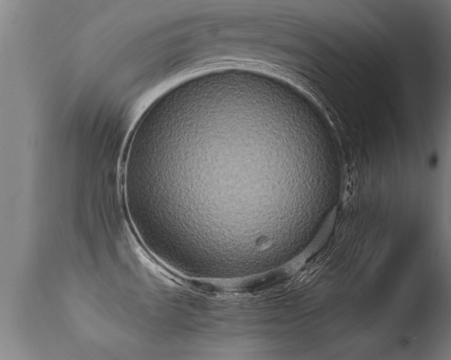 X0000113291535200909211051