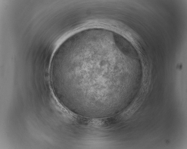 X0000113291536200909211051