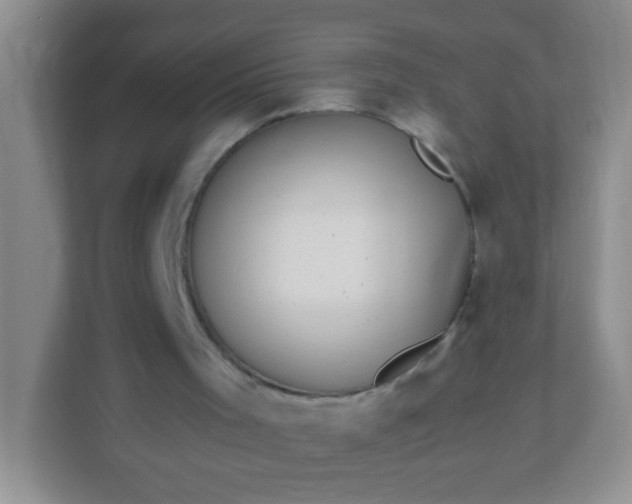 X0000113290001200909281021