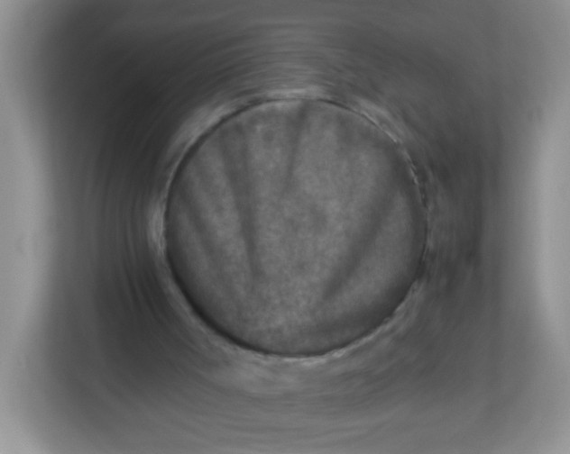 X0000113290002200909281021