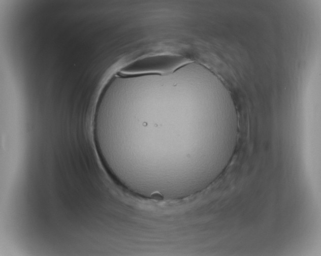 X0000113290003200909281021