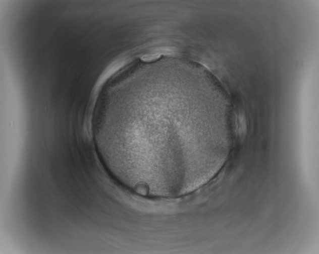 X0000113290004200909281021