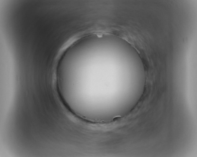 X0000113290005200909281021