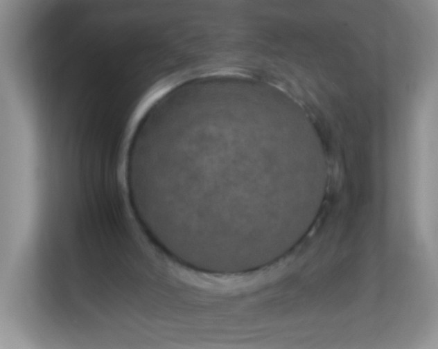 X0000113290006200909281021