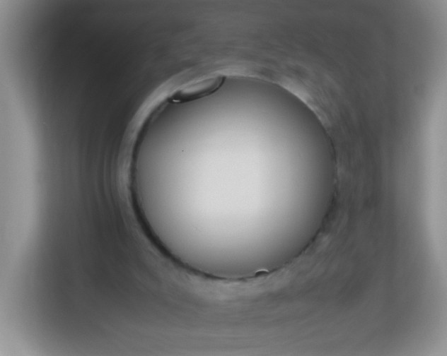 X0000113290007200909281021