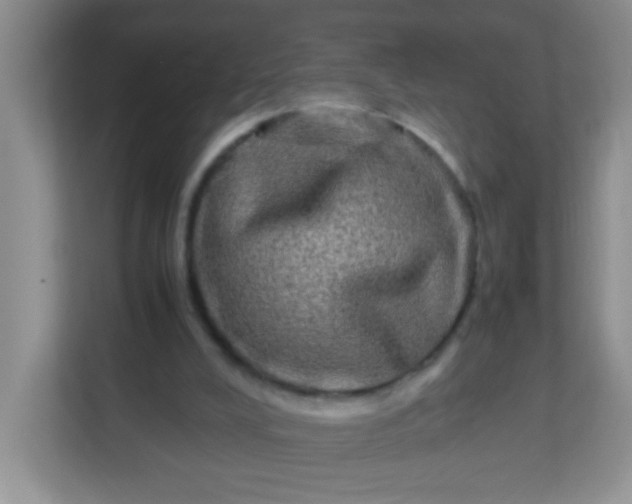 X0000113290008200909281021