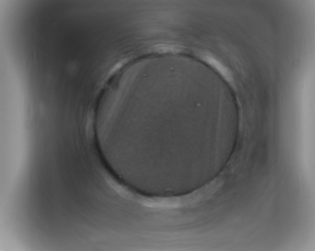 X0000113290009200909281021