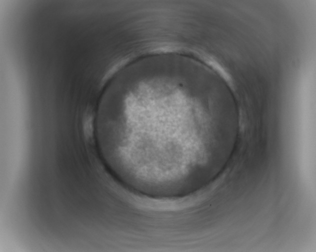 X0000113290010200909281021