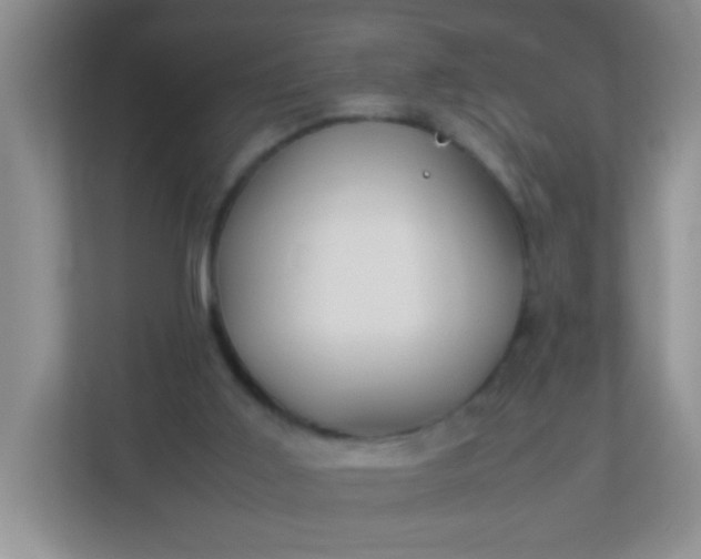 X0000113290011200909281021