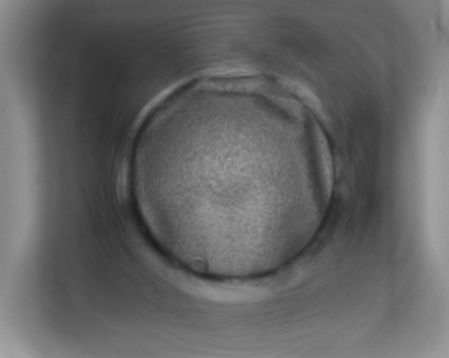 X0000113290012200909281021