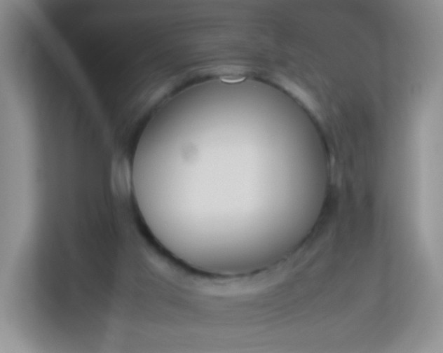 X0000113290013200909281021