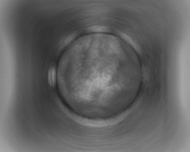 X0000113290014200909281021