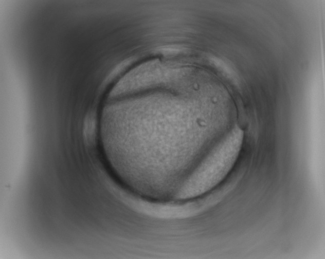 X0000113290016200909281021