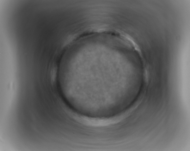 X0000113290018200909281021