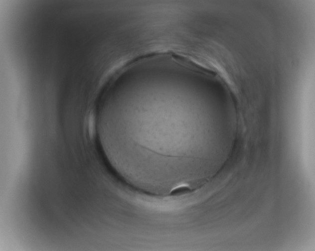 X0000113290019200909281021