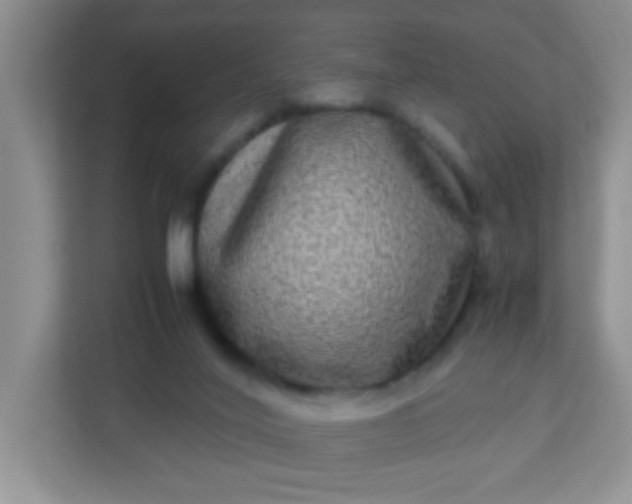 X0000113290020200909281021