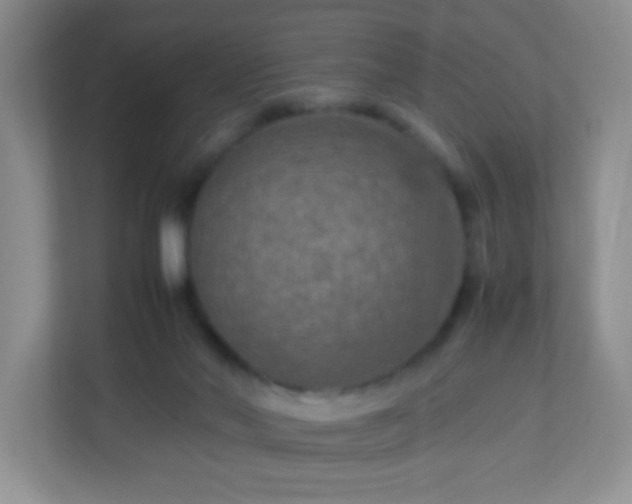 X0000113290022200909281021