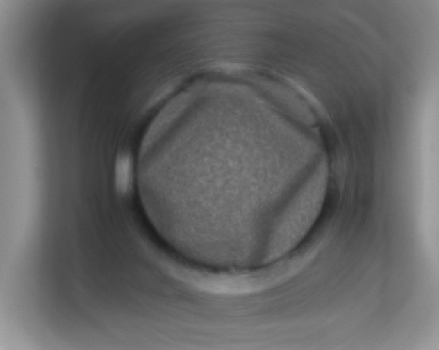 X0000113290024200909281021