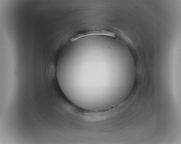 X0000113290025200909281021