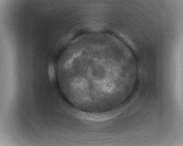 X0000113290026200909281021