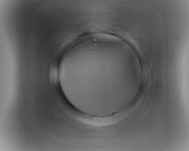 X0000113290027200909281021