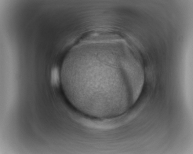 X0000113290028200909281021