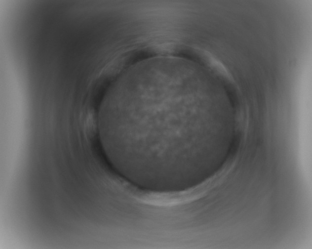 X0000113290029200909281021