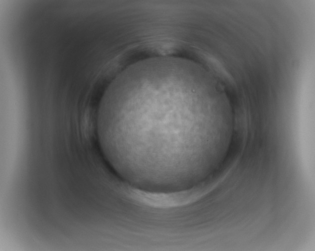 X0000113290030200909281021