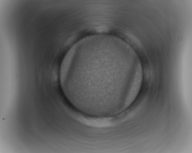 X0000113290032200909281021