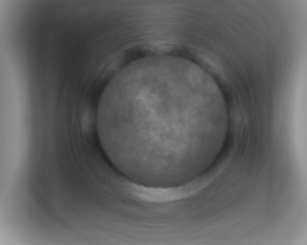 X0000113290034200909281021