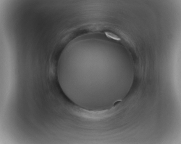 X0000113290035200909281021