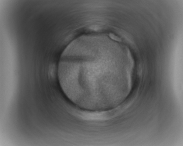 X0000113290036200909281021