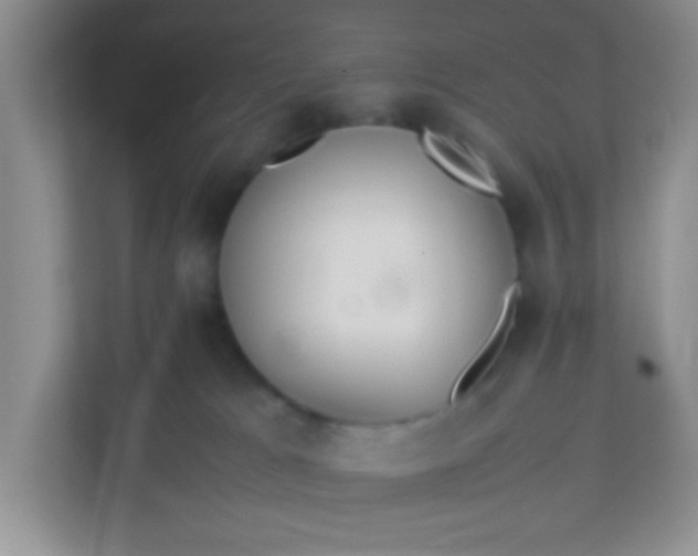 X0000113290037200909281021