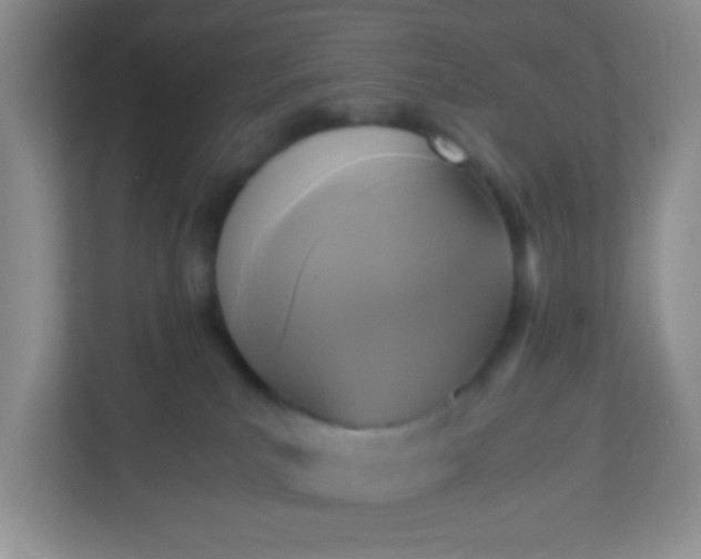 X0000113290039200909281021